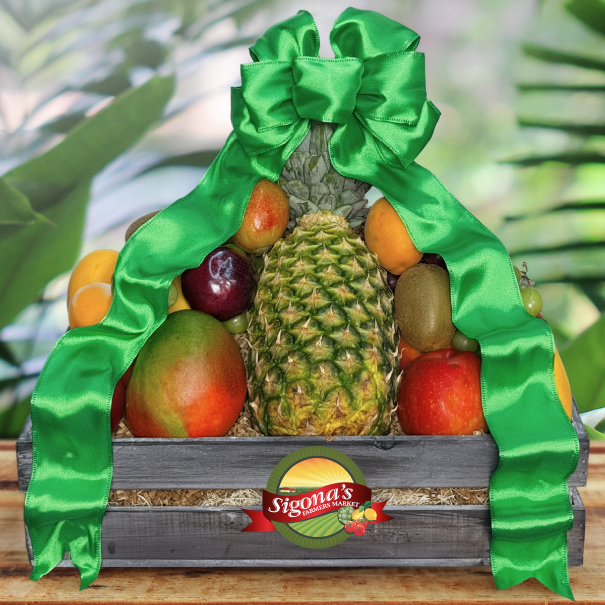 Tropical Paradise