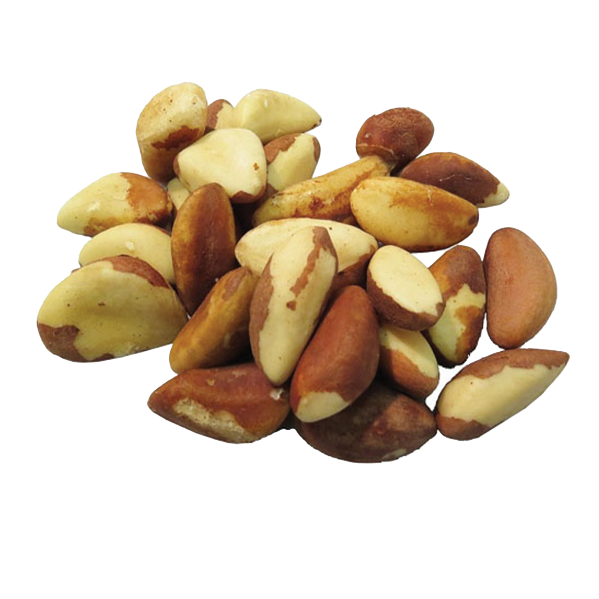 Brazil Nuts, Raw Shelled, 9.5 oz