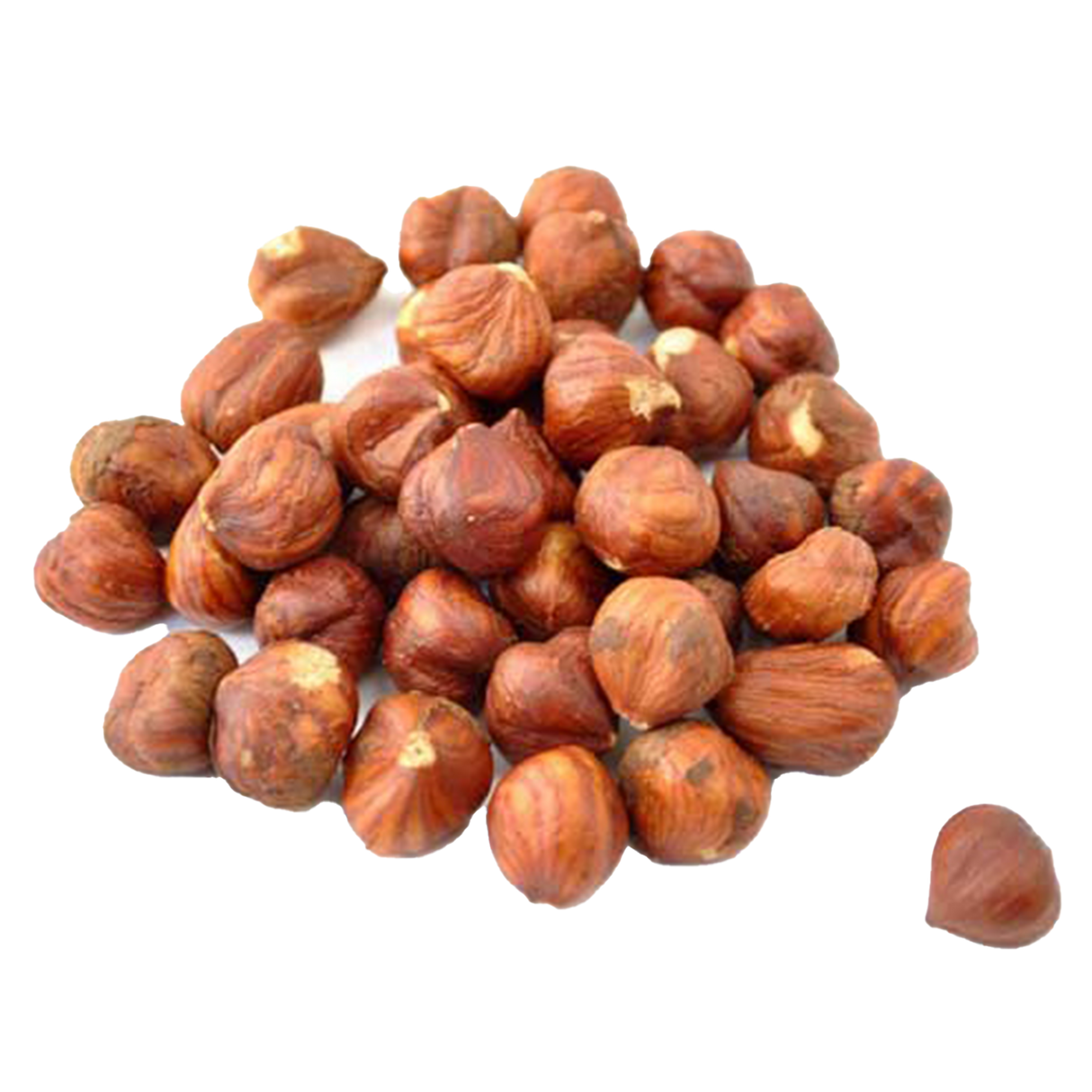 Raw Shelled Hazelnuts (Filberts), 9.5 oz