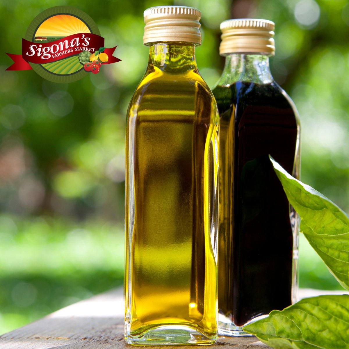 Olive Oils & Balsamics
