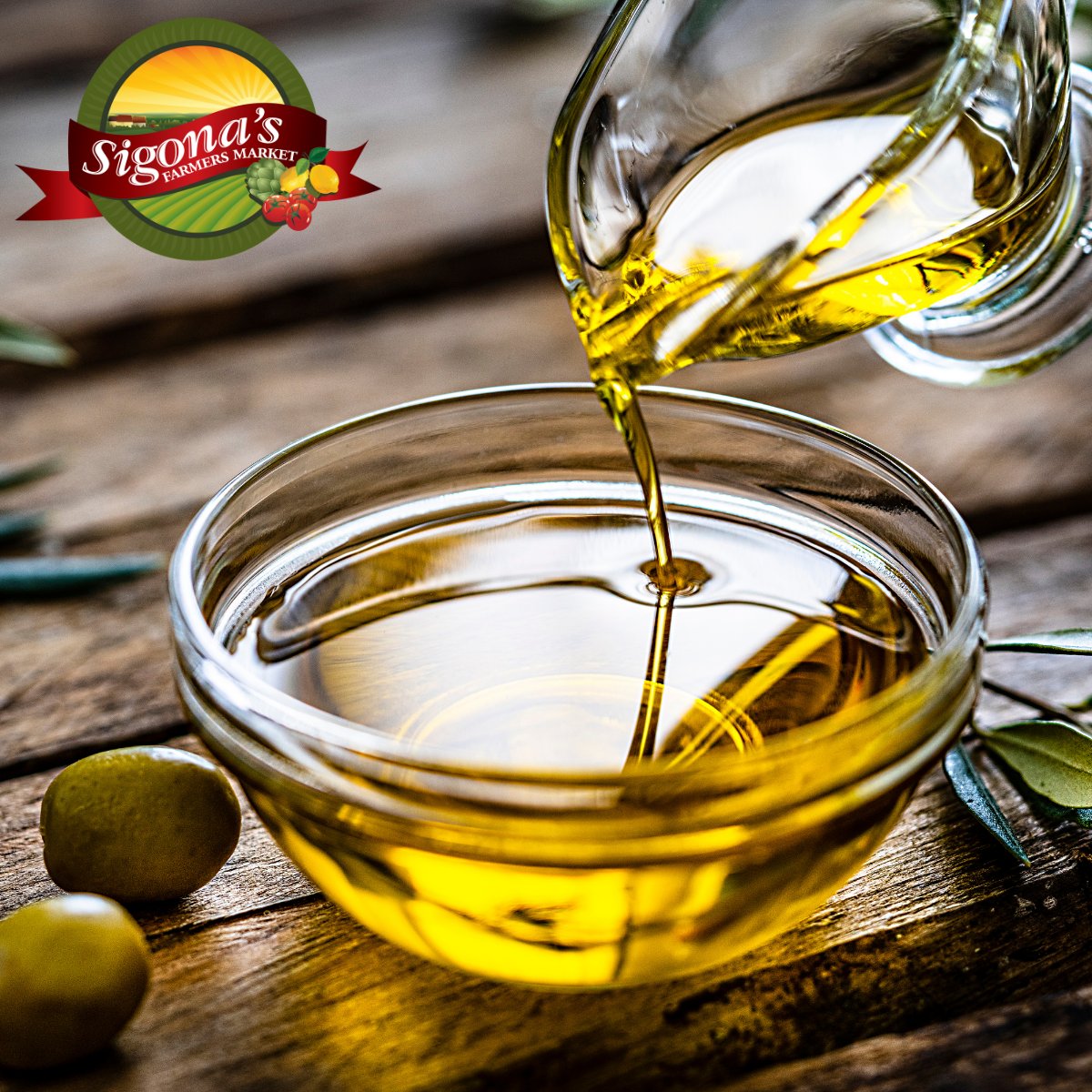 Northern Hemisphere Olive Oils