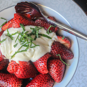 Balsamic Sampler Gift Set